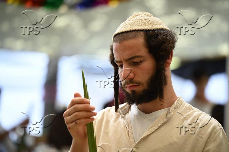 Four Species of Sukkot